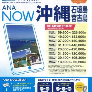 ANA NOW沖縄（石垣島・宮古島） - CKT GROUP